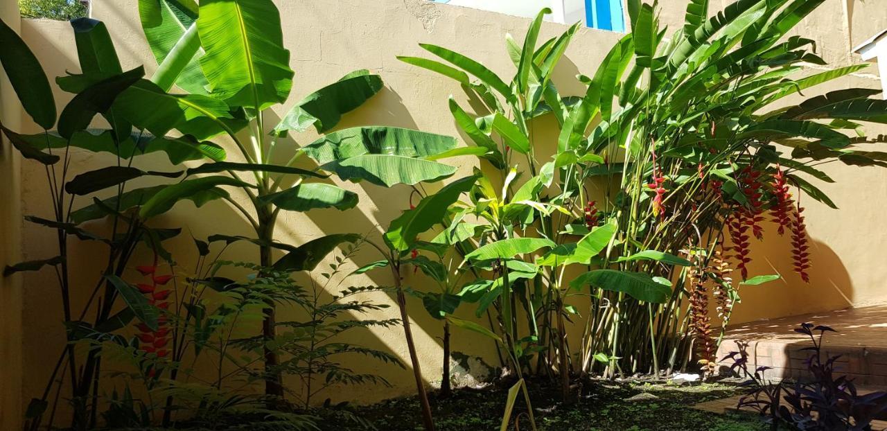 Mh Boutique Hotel San Pedro Sula Eksteriør bilde