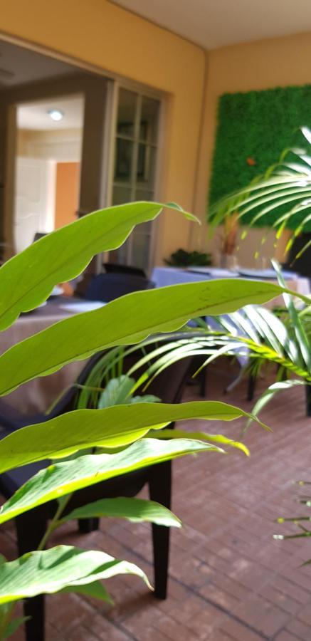 Mh Boutique Hotel San Pedro Sula Eksteriør bilde